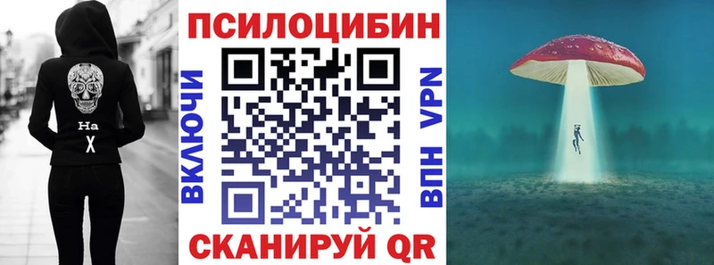 Псилоцибиновые грибы Cubensis  Вяземский 